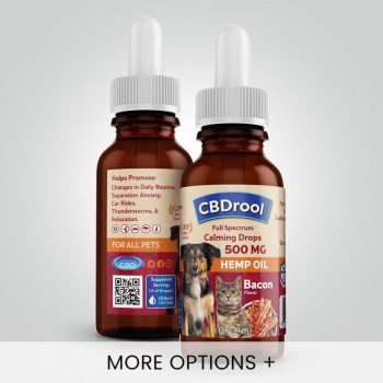 CBDrool's Full Spectrum Flavored CBD Oil - For All Pets (500mg)
